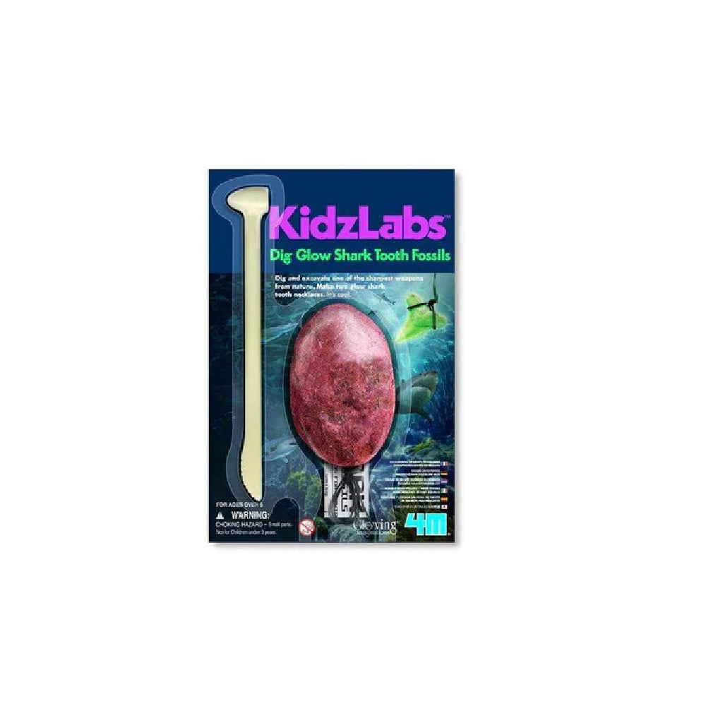 Laboratorio de Ciencia Excava Dientes de Tiburón