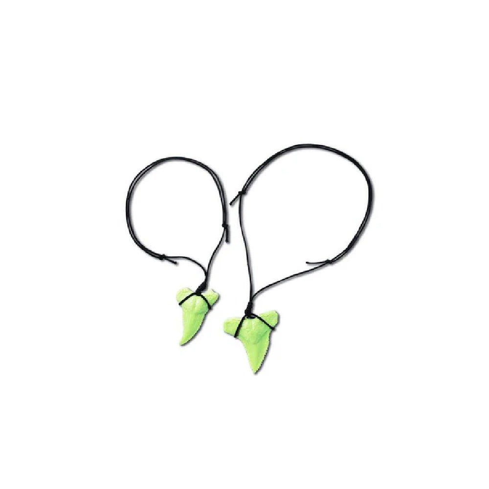 Laboratorio de Ciencia Excava Dientes de Tiburón