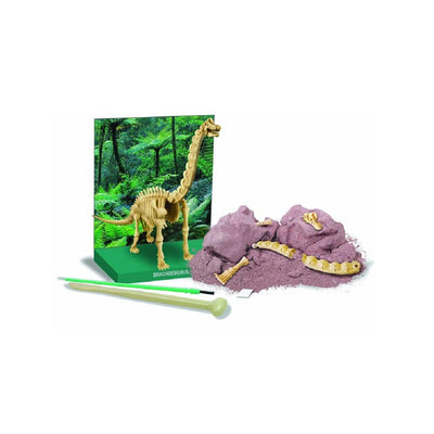 Dinosaurio Brachiosaurus Excava