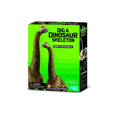 Dinosaurio Brachiosaurus Excava